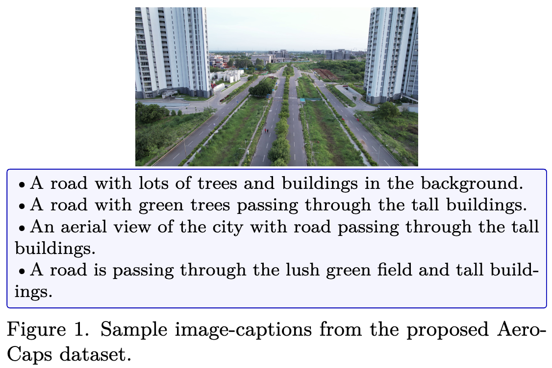 Aerial Mirage: Unmasking Hallucinations in Large Vision Language Models